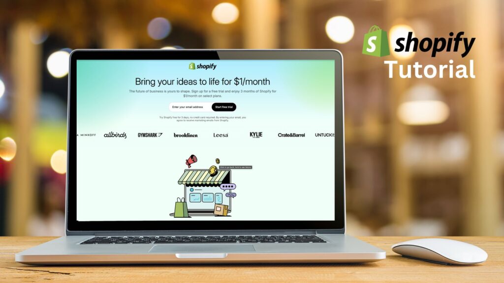 shopify tutorial