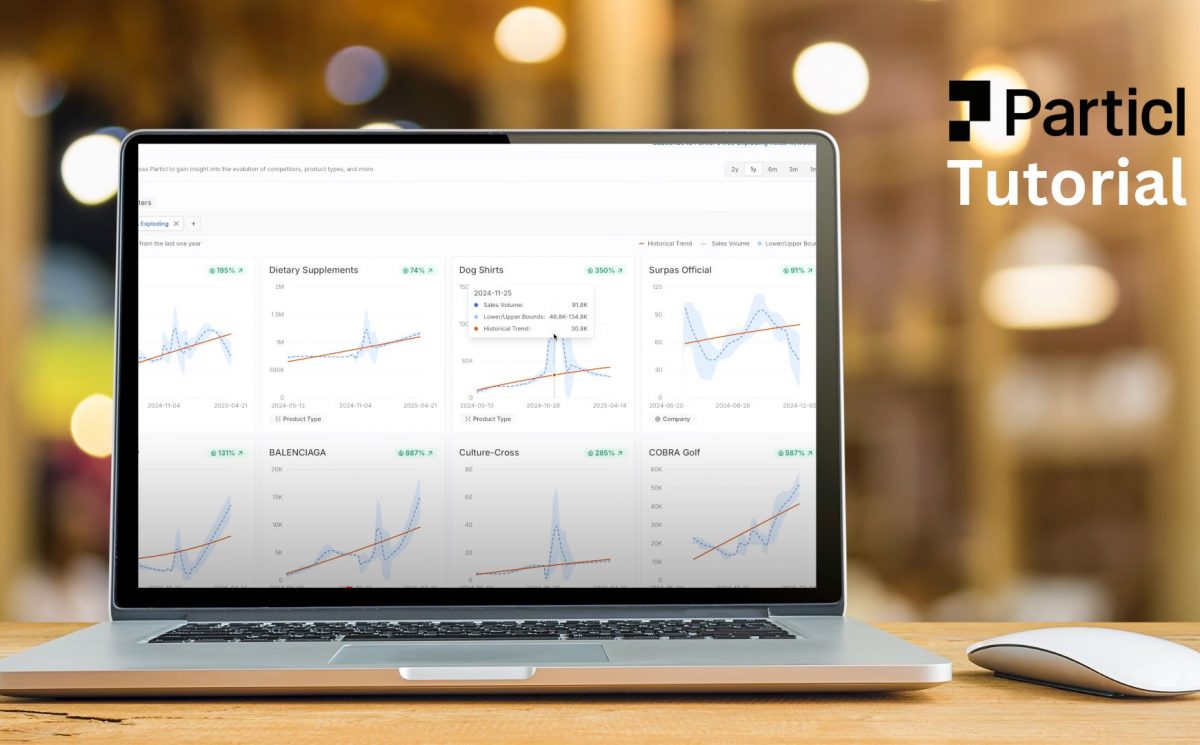 Particl Tutorial